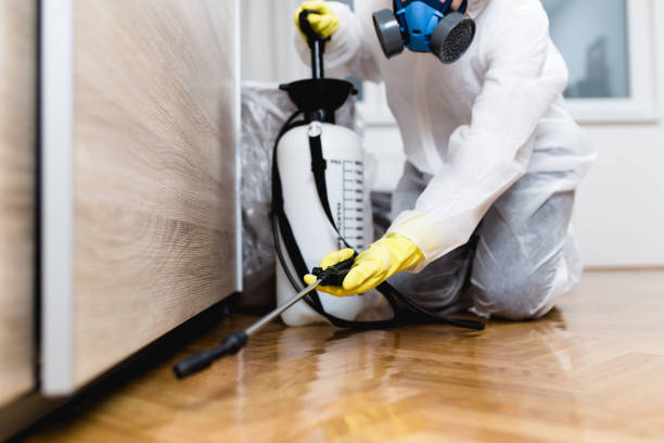 Best Pest Prevention Services  in Solana Beach, CA