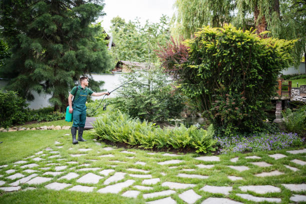 Best Pest Inspection Near Me  in Solana Beach, CA