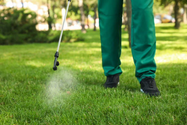 Pest Control Cost in Solana Beach, CA
