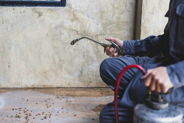 Best Pest Control Cost  in Solana Beach, CA